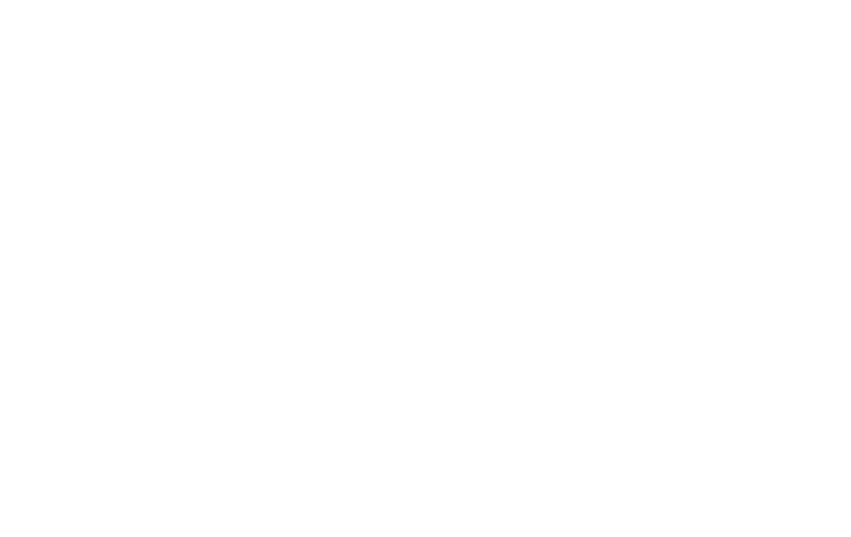 COURAGE TO DREAM